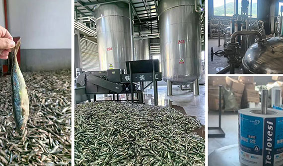經銷商必備，100%純魚蛋白肥燃炸市場！緩僵苗弱苗、改良土壤、抗寒抗旱抗逆全搞定！